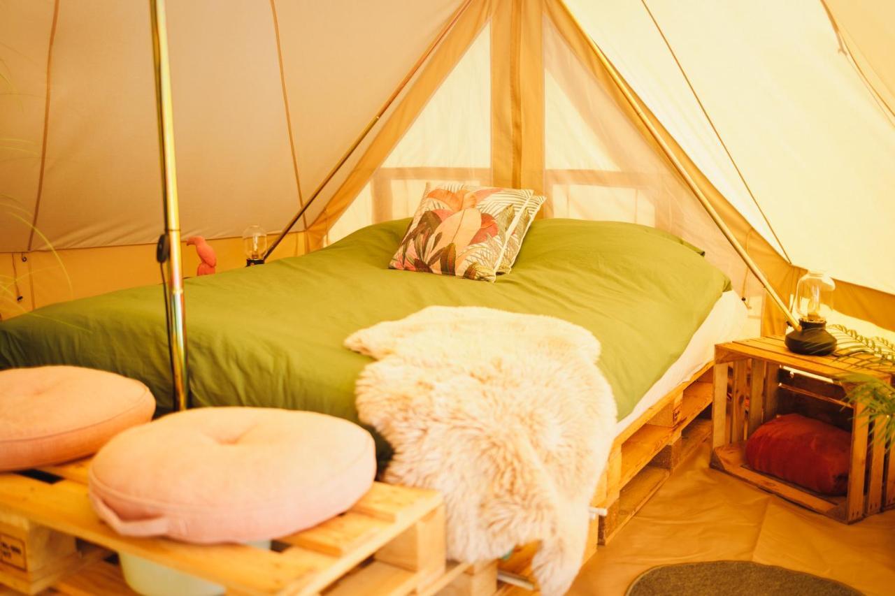 Wereldse Bell Tenten Met Alpaca'S Paasloo Exterior foto