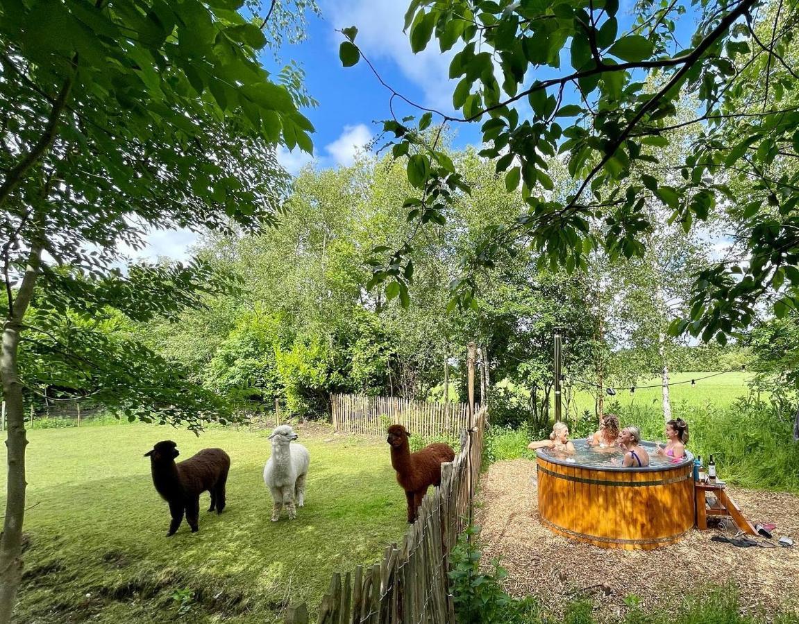 Wereldse Bell Tenten Met Alpaca'S Paasloo Exterior foto
